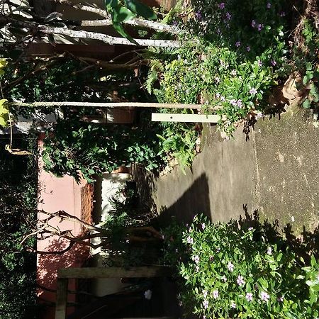 Pousada Terra Mar Morada Nova Exterior photo